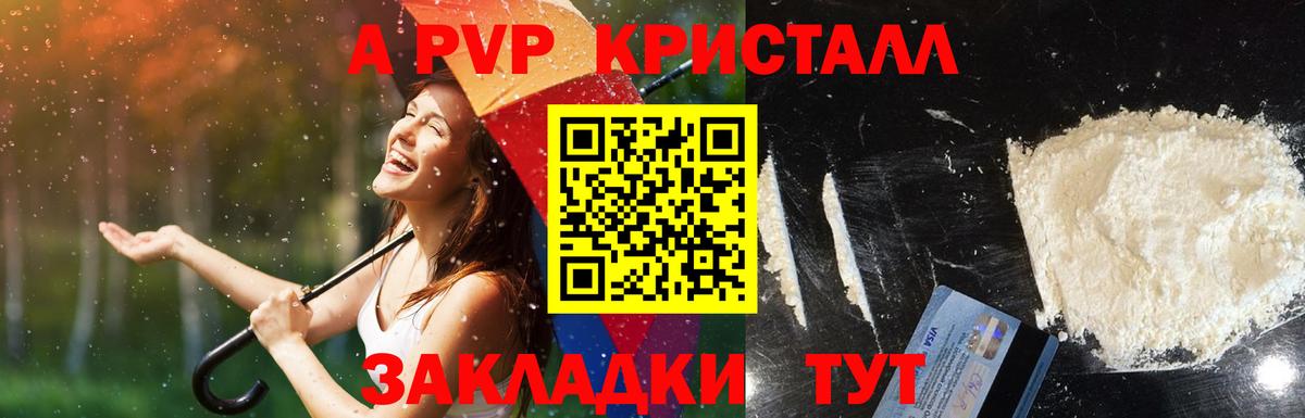 Alpha PVP Соль  Вход с VPN  Коряжма  сколько стоит  APVP СК 