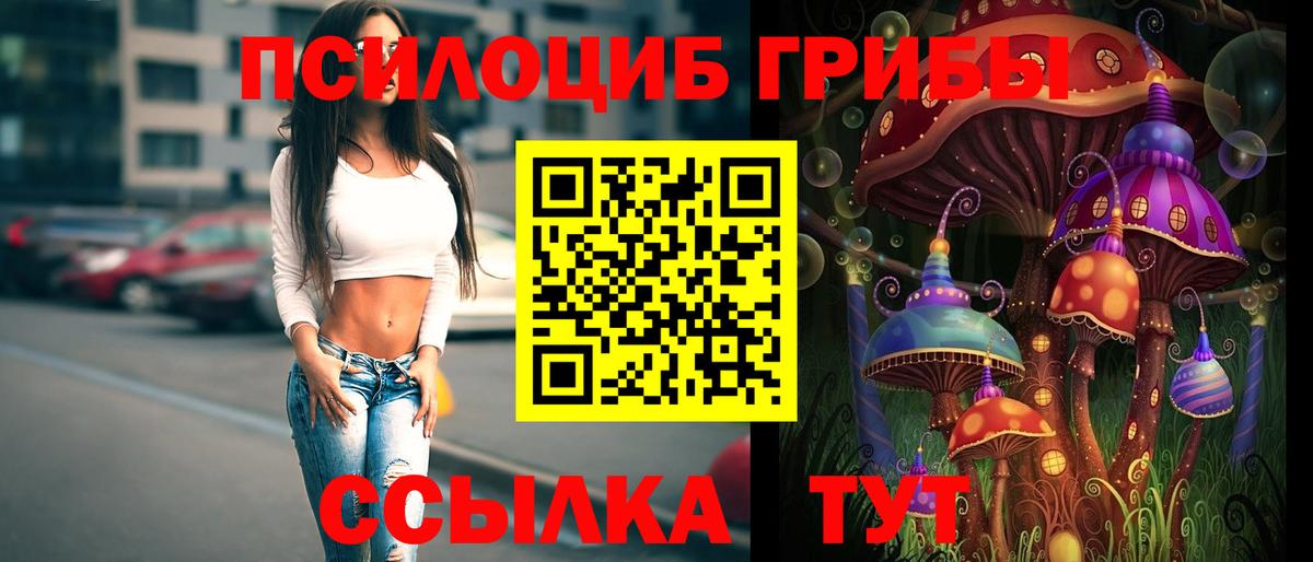 Галлюциногенные грибы мицелий Коряжма