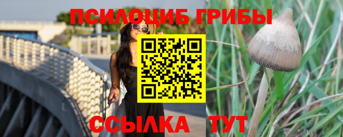Галлюциногенные грибы Magic Shrooms  Коряжма  Галлюциногенные грибы мицелий 
